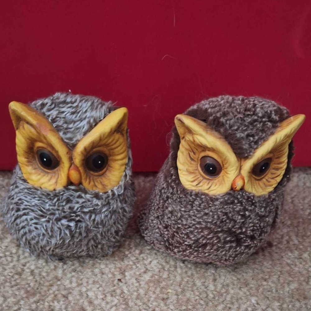 Two fuzzy Owl Set